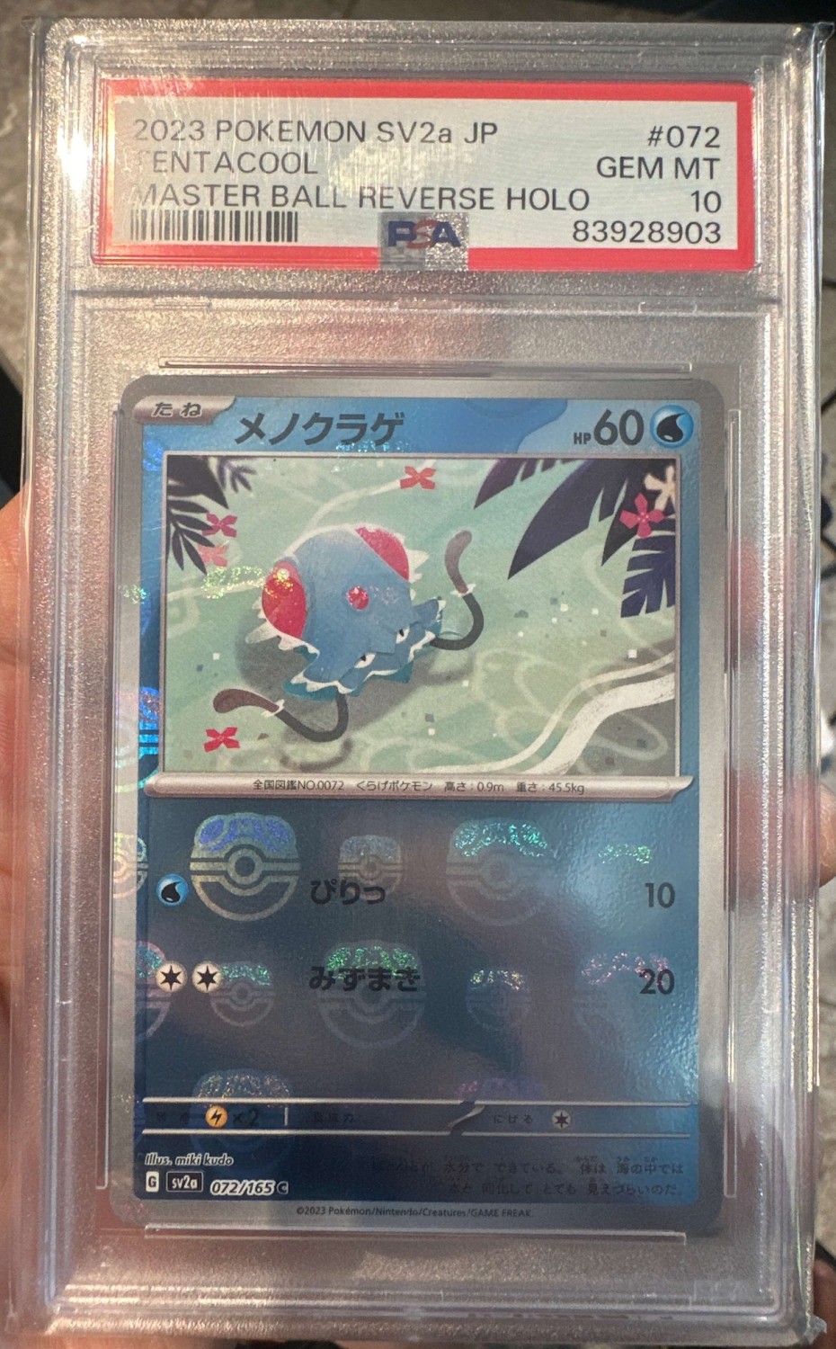 Tentacool