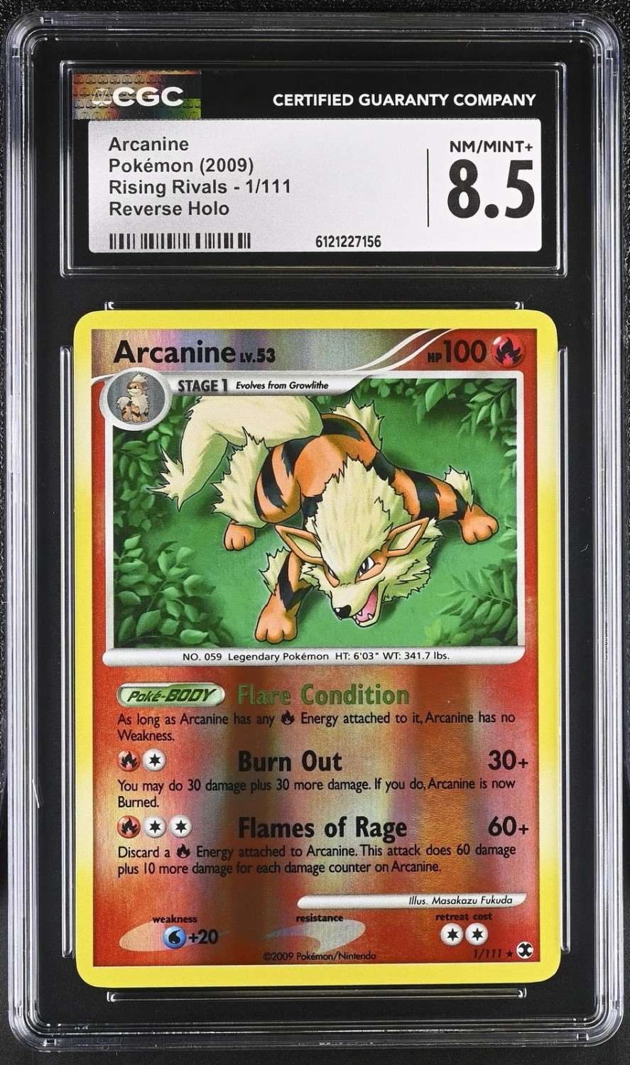 ARCANINE