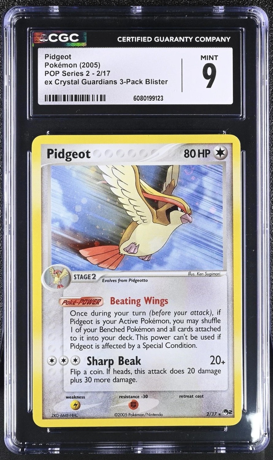 PIDGEOT