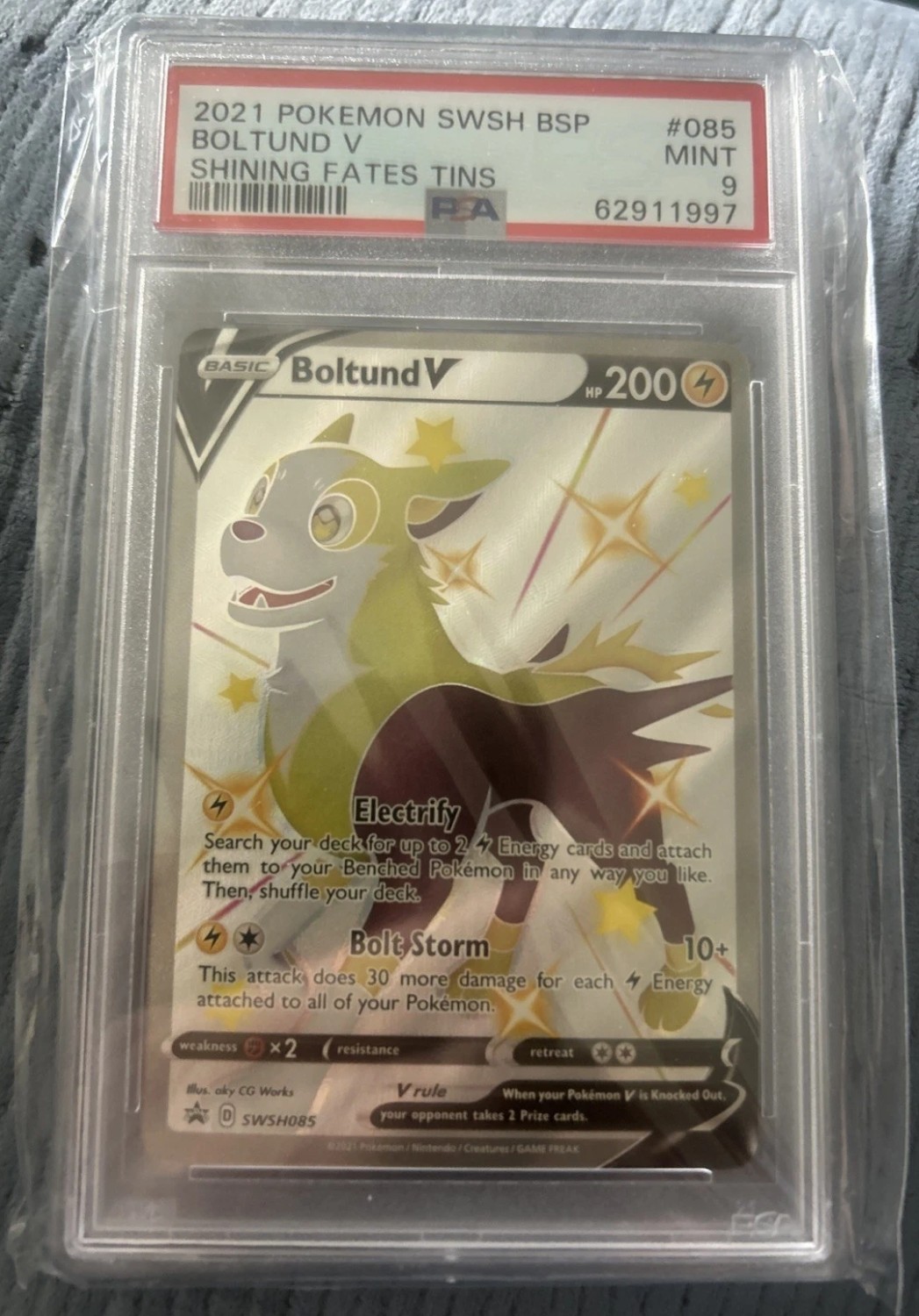 Boltund V