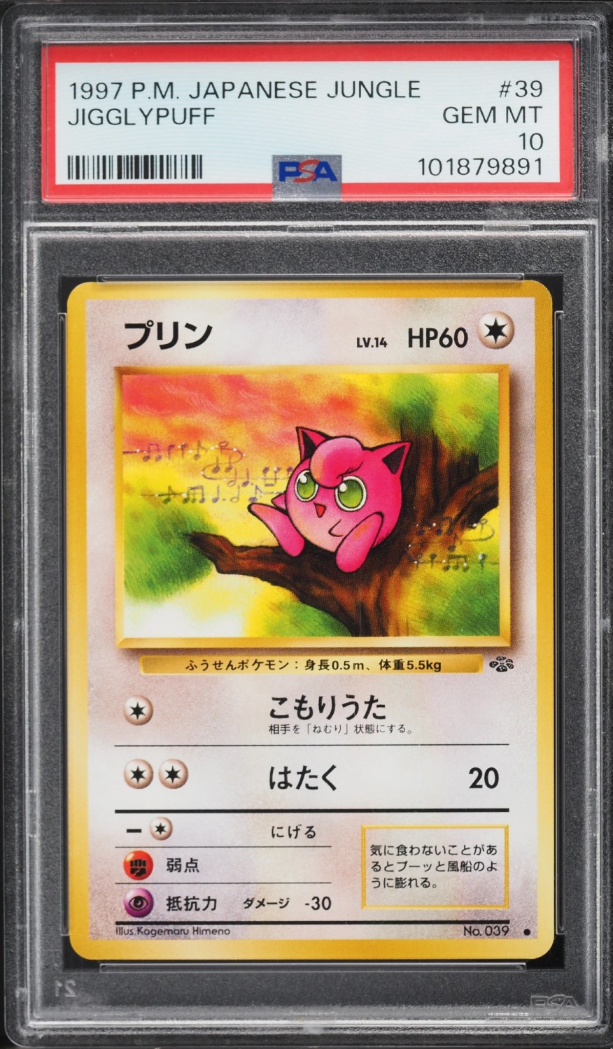 Jigglypuff