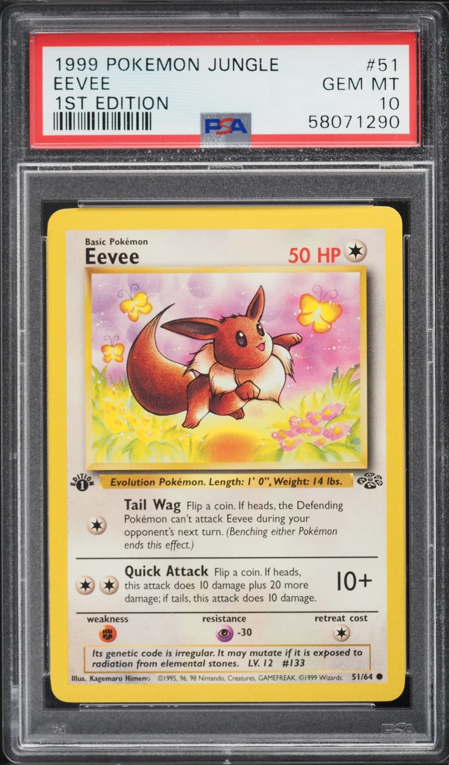 Eevee