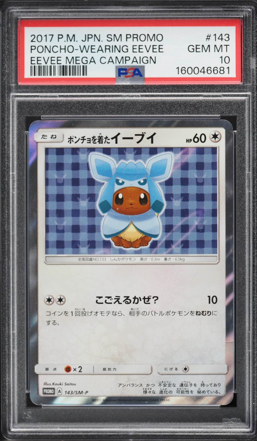 Poncho-Wearing Eevee