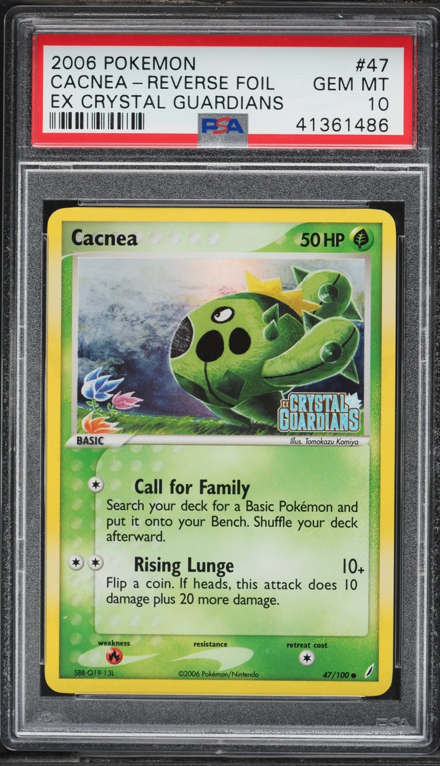 Cacnea