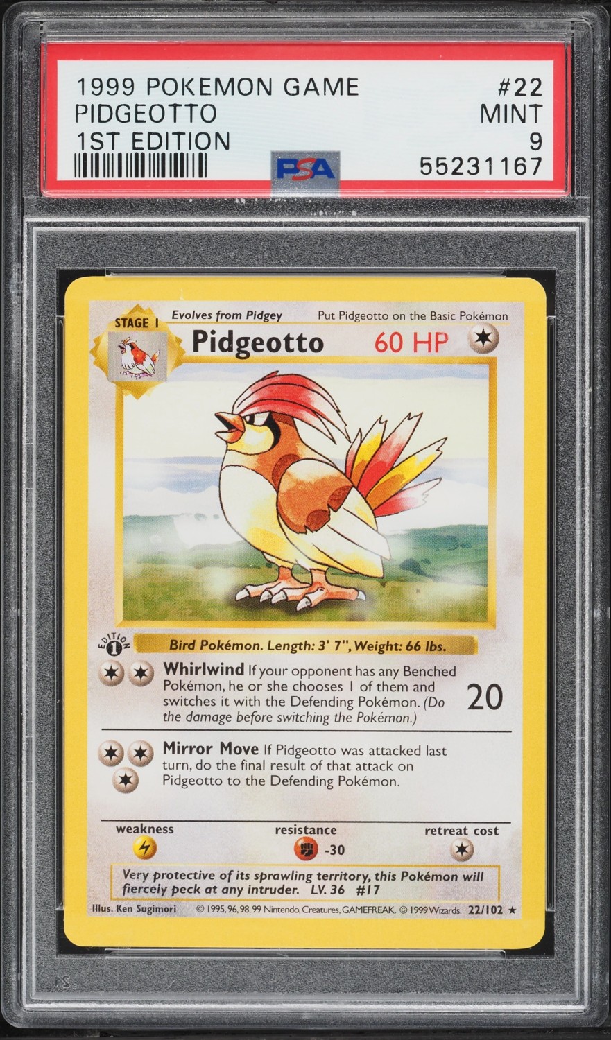 PIDGEOTTO