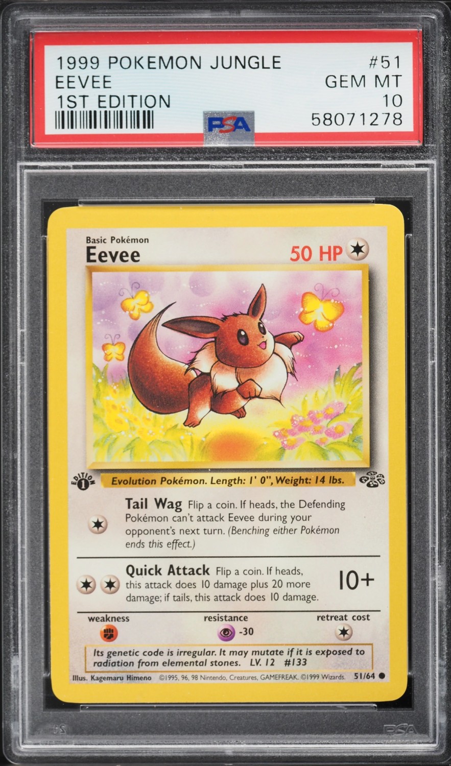 Eevee