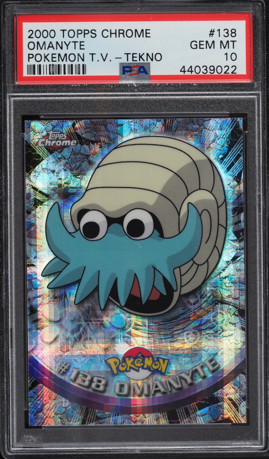 Omanyte
