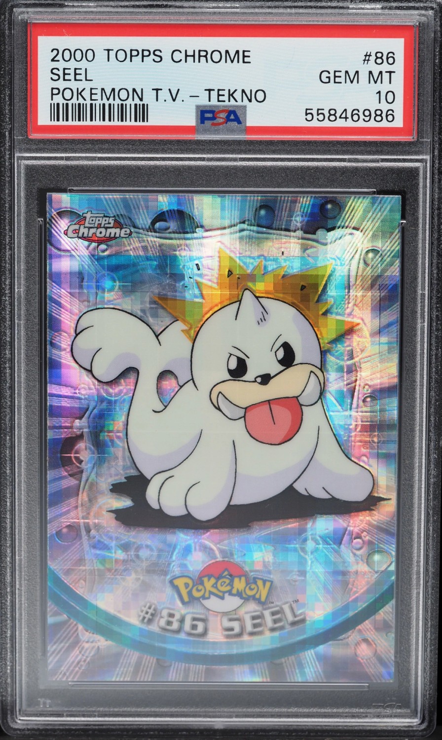 Seel