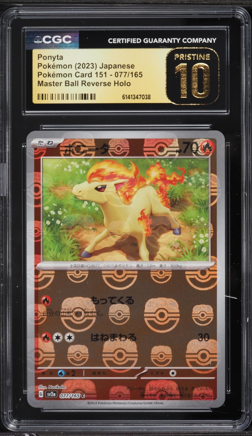 Ponyta