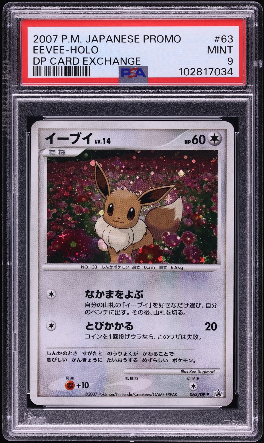 Eevee