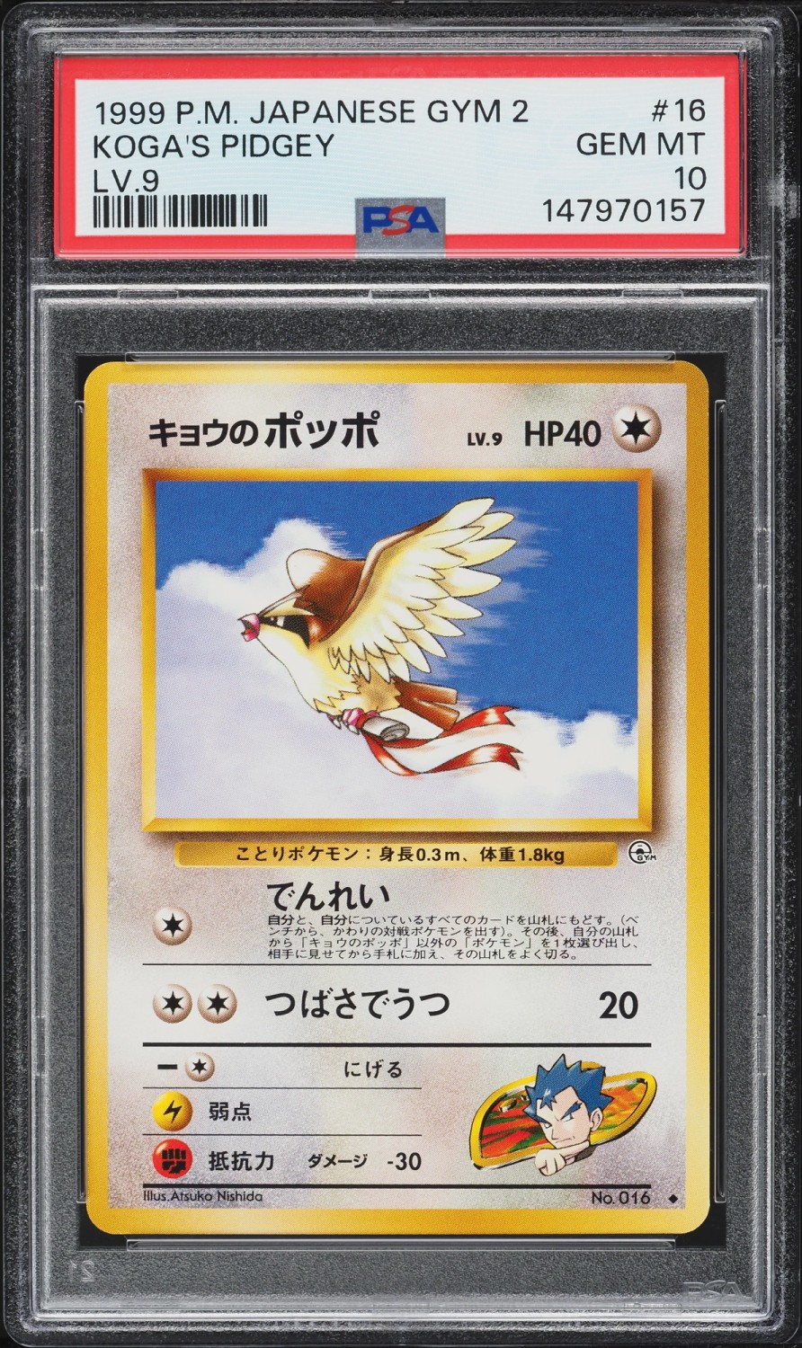 Koga's Pidgey