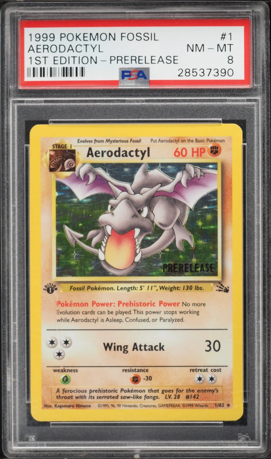 AERODACTYL