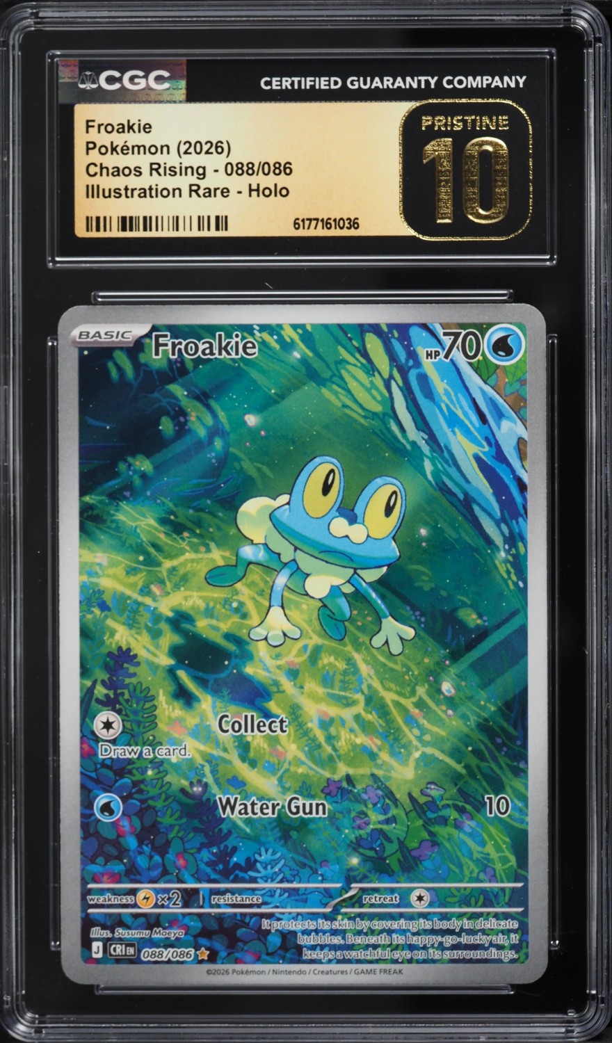 Froakie