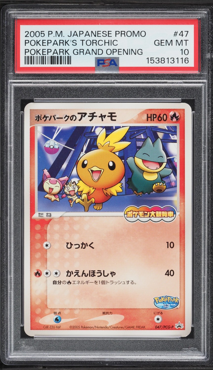 Pokepark's Torchic
