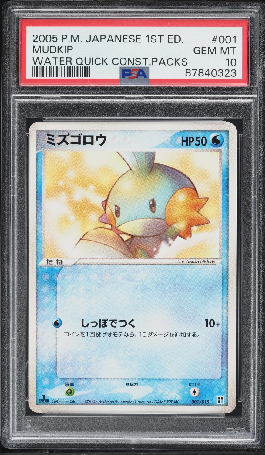 Mudkip