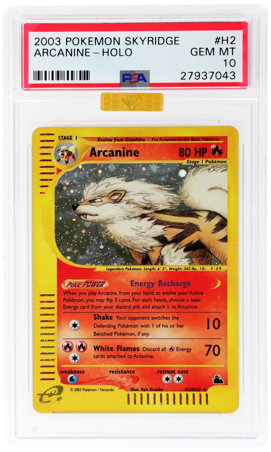 Arcanine