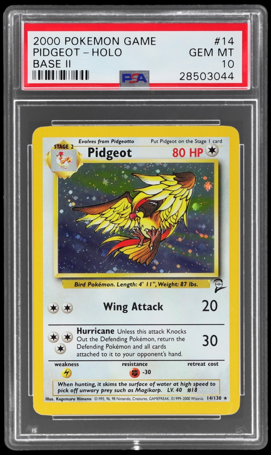 Pidgeot