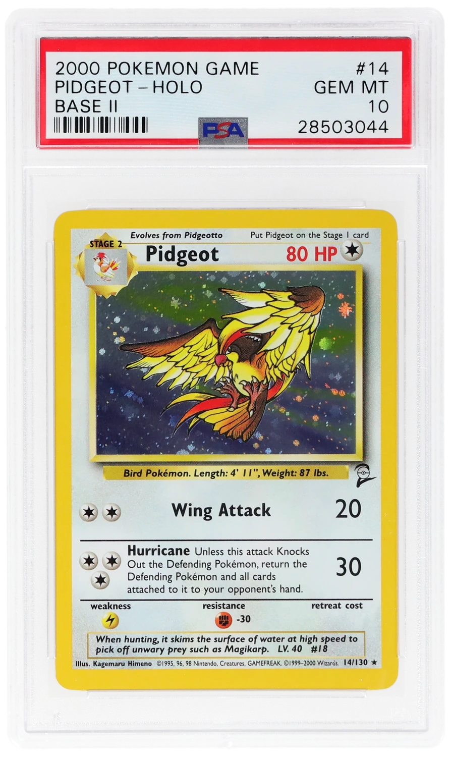 Pidgeot
