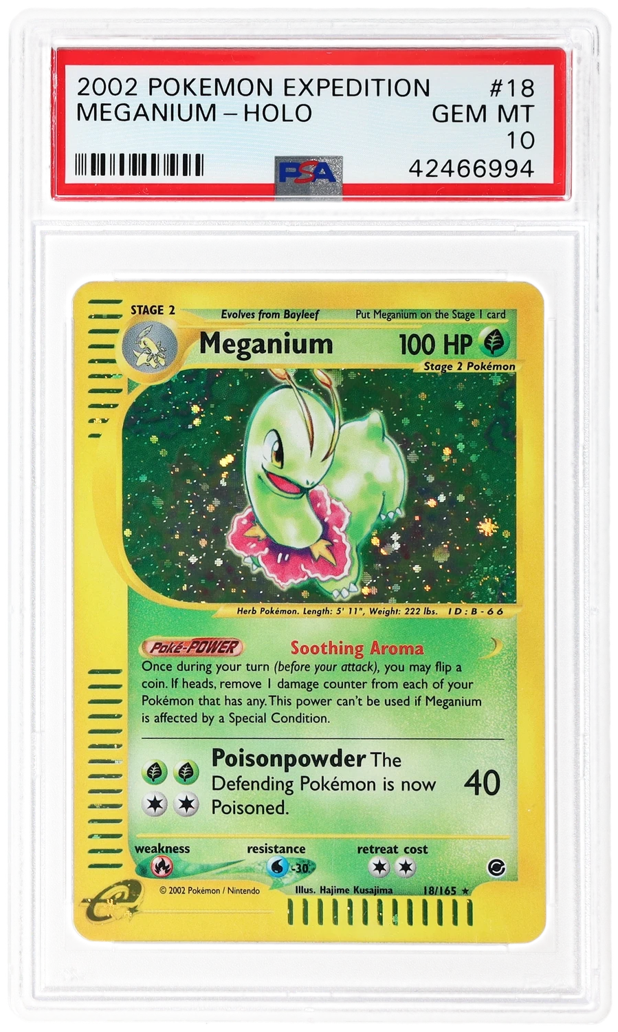 Meganium