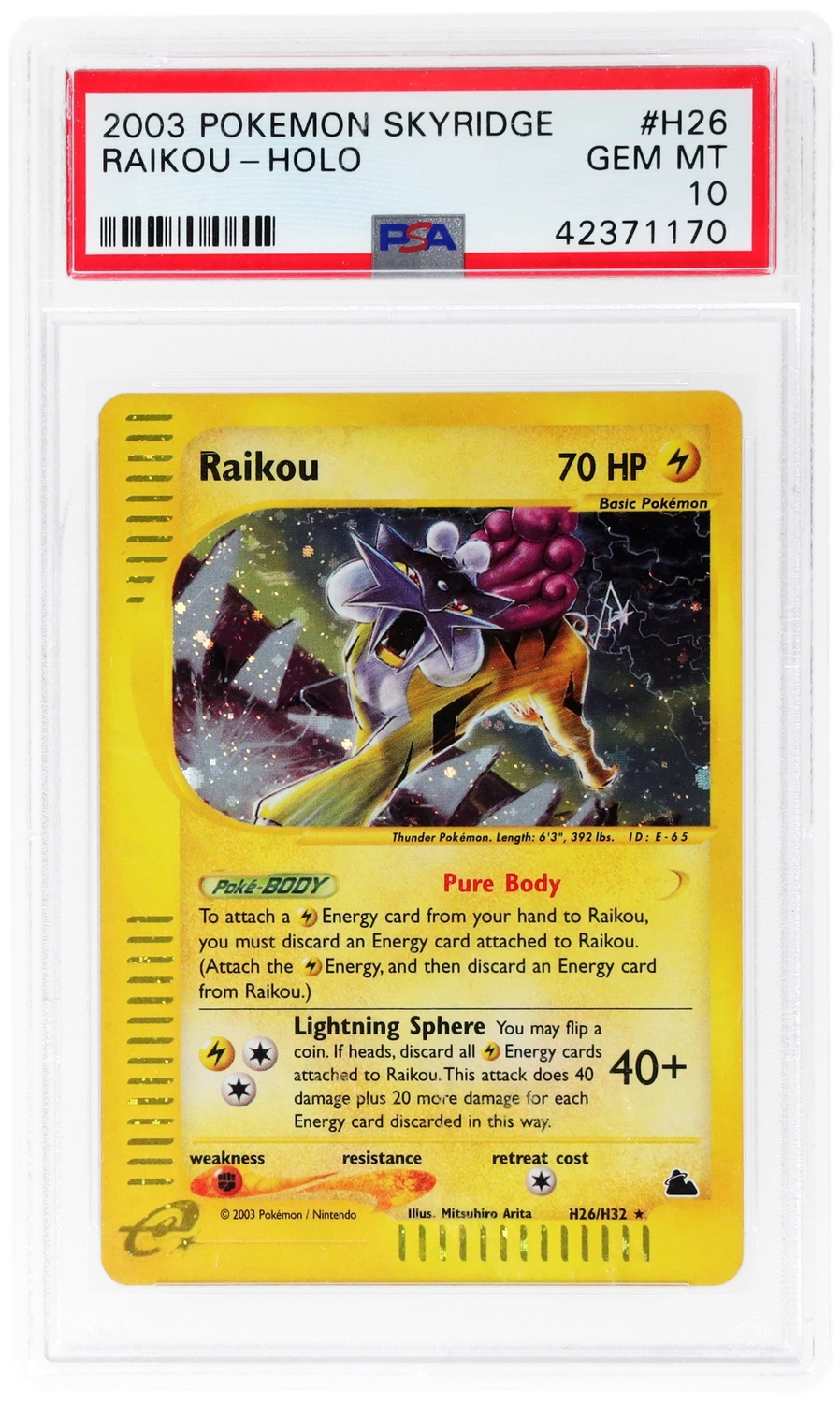 Raikou