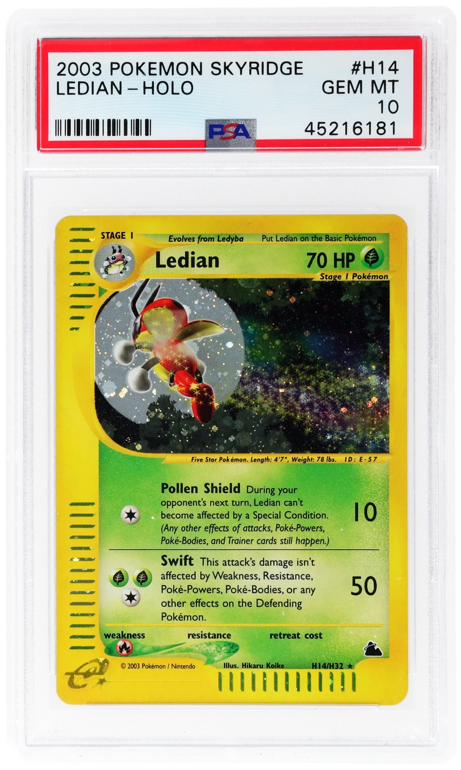 Ledian