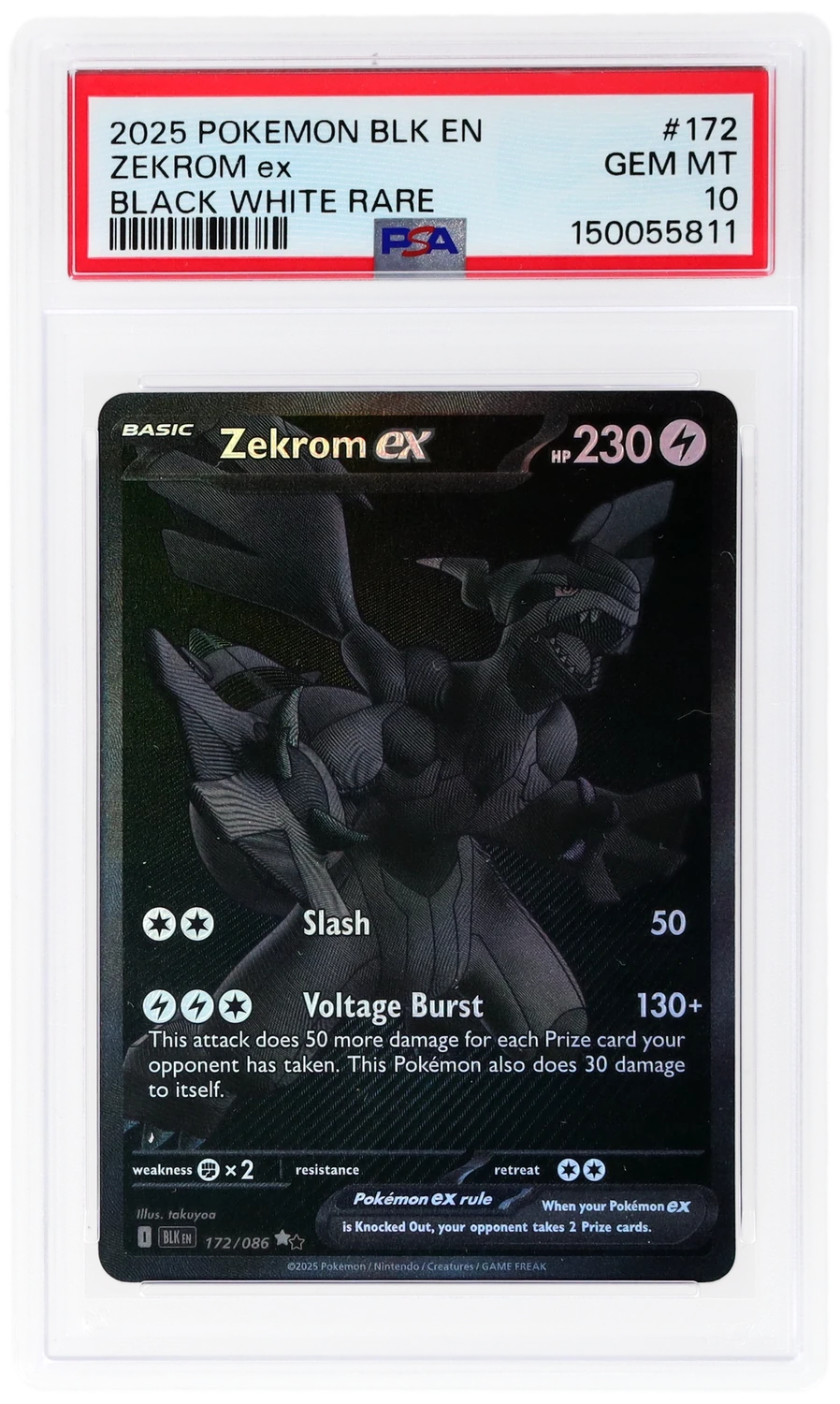 ZEKROM ex
