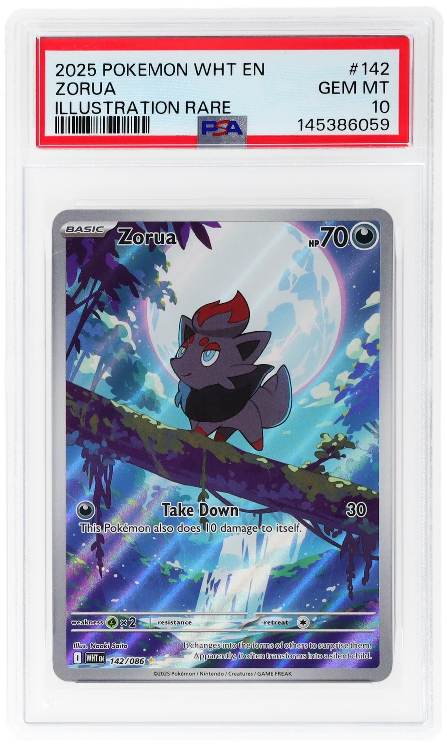 Zorua