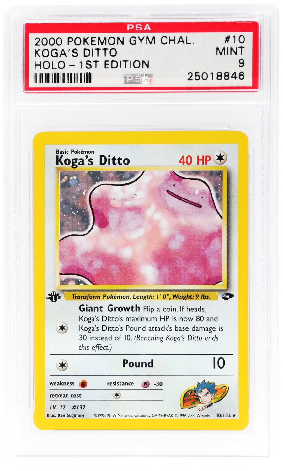 Koga's Ditto