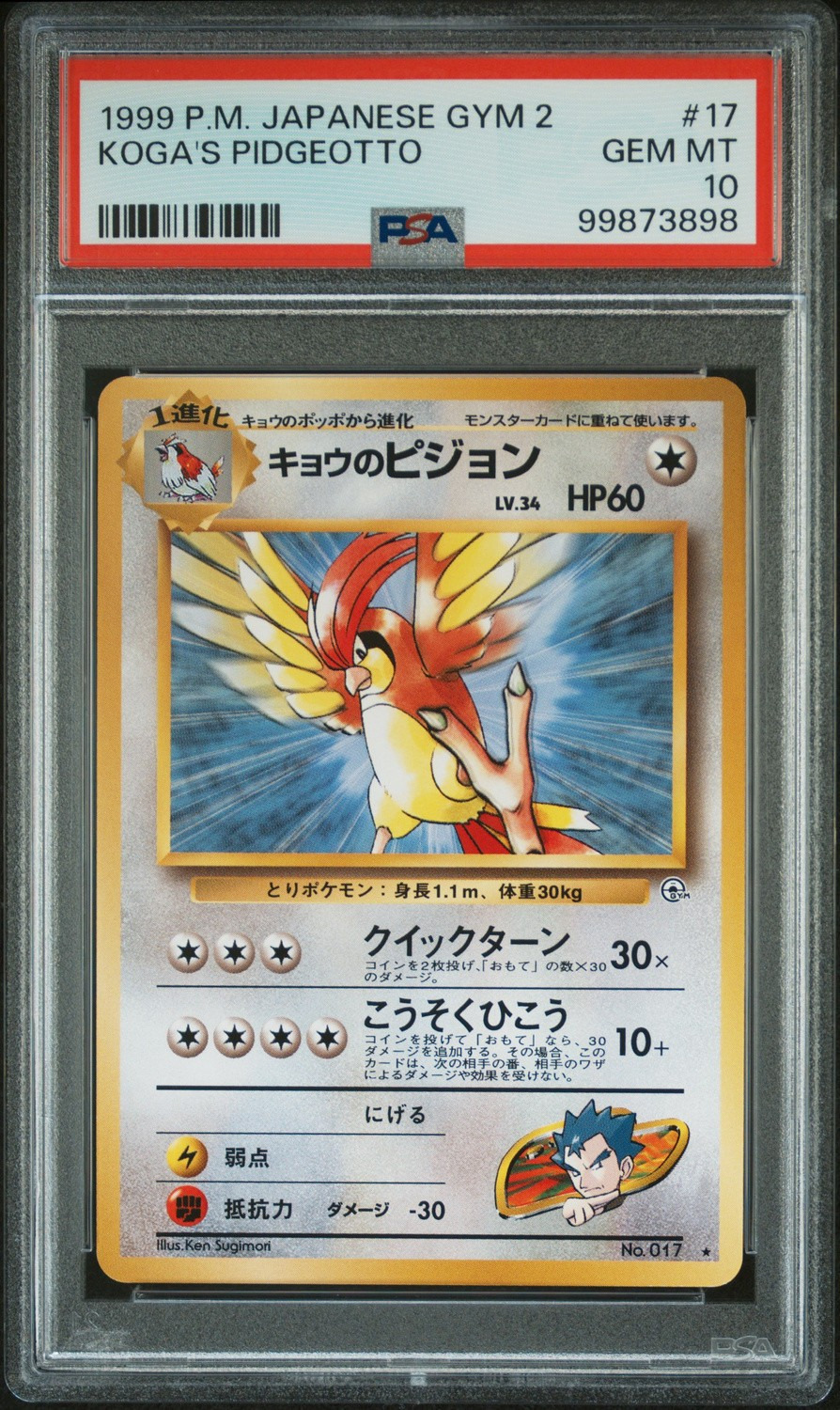 Koga's Pidgeotto