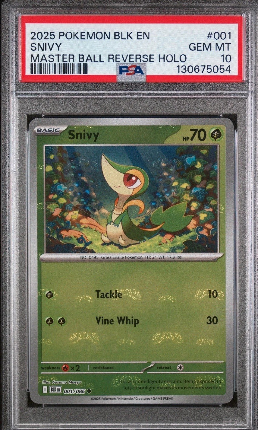 Snivy