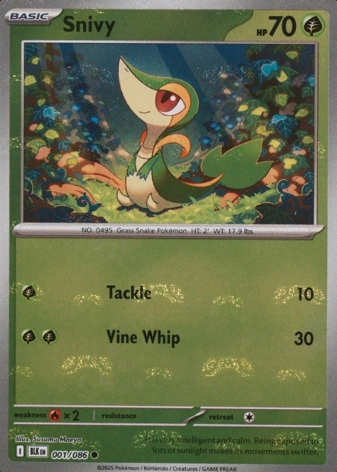 Master Ball · Reverse Holo