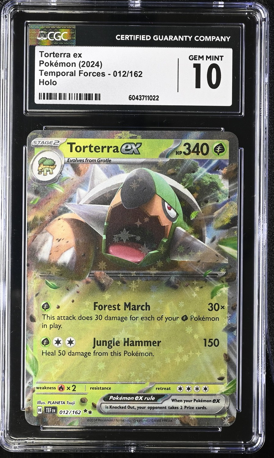 TORTERRA ex