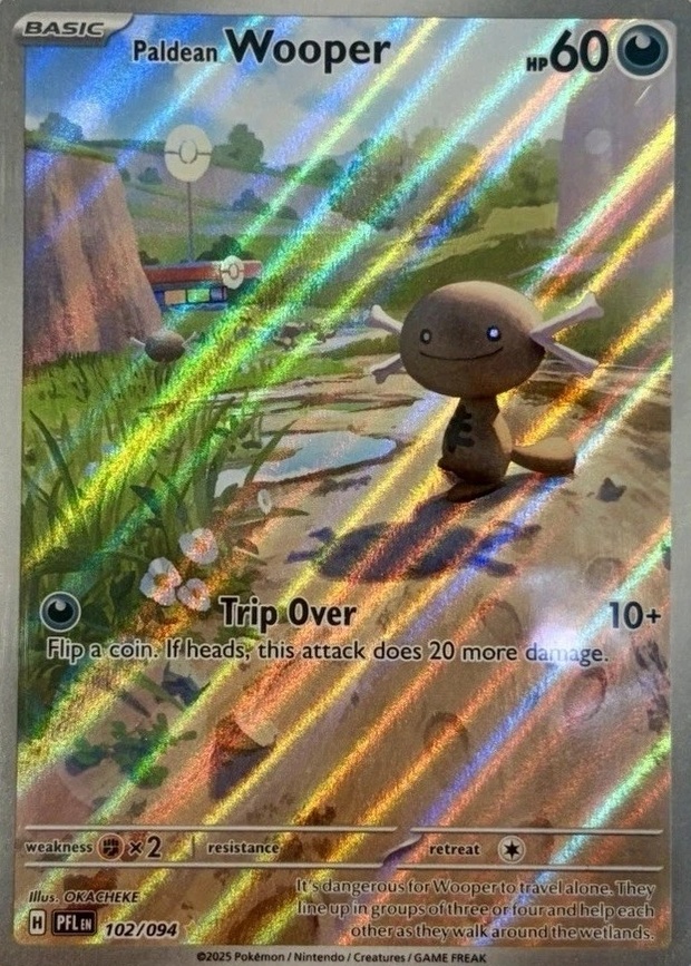 Non-Holo