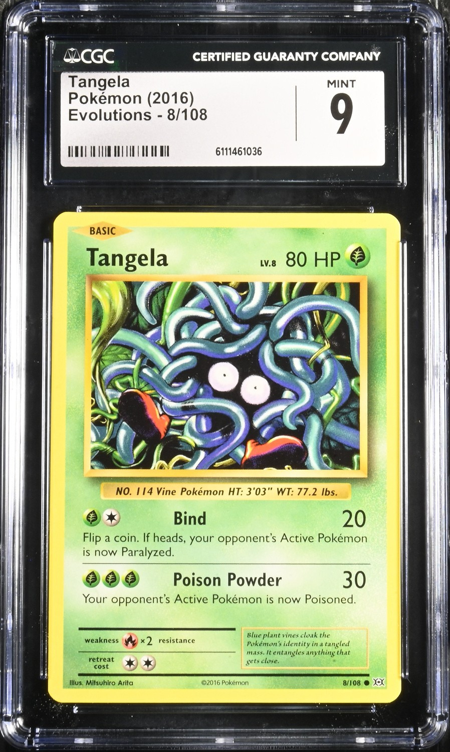 TANGELA
