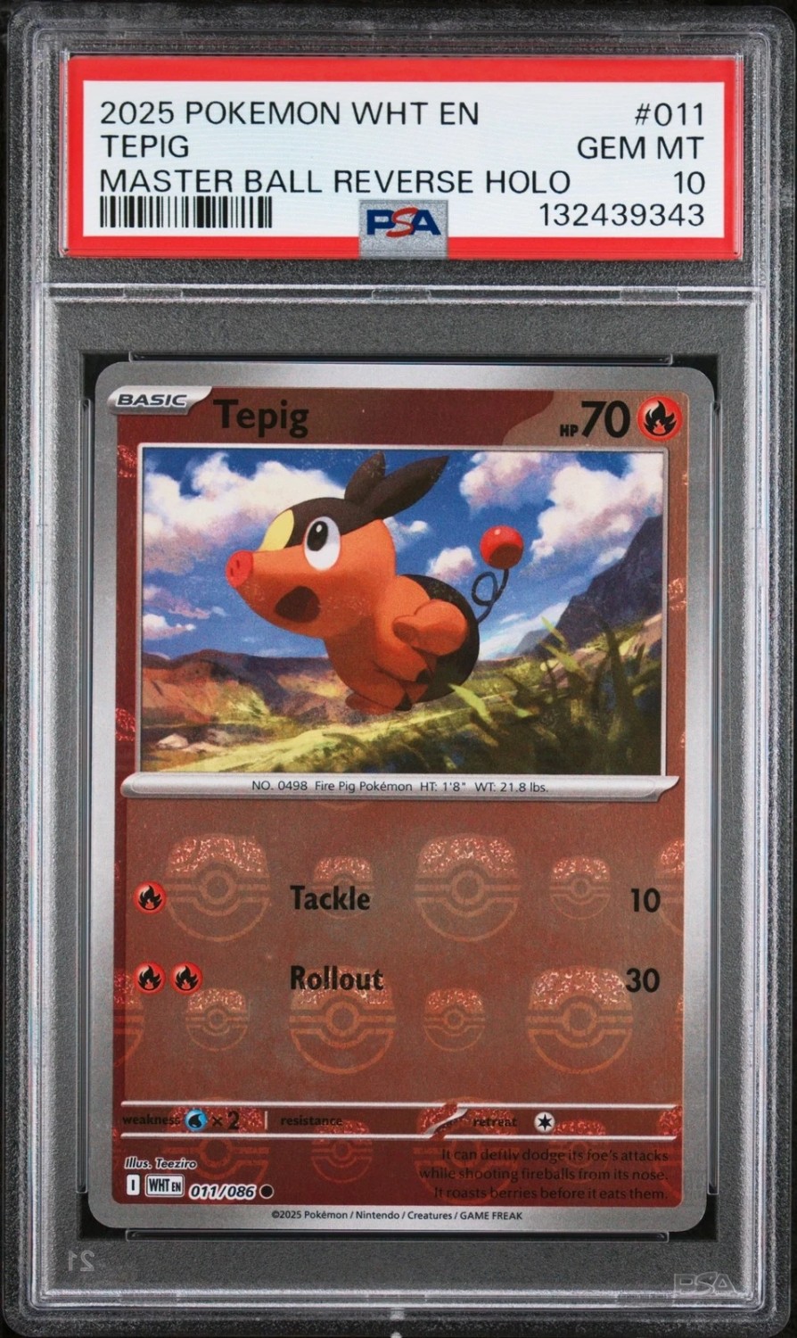 Tepig