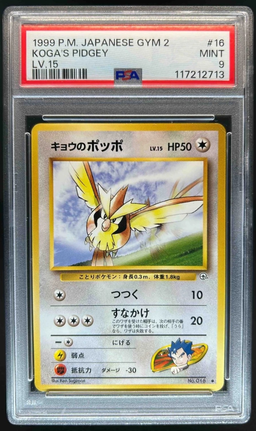 Koga's Pidgey
