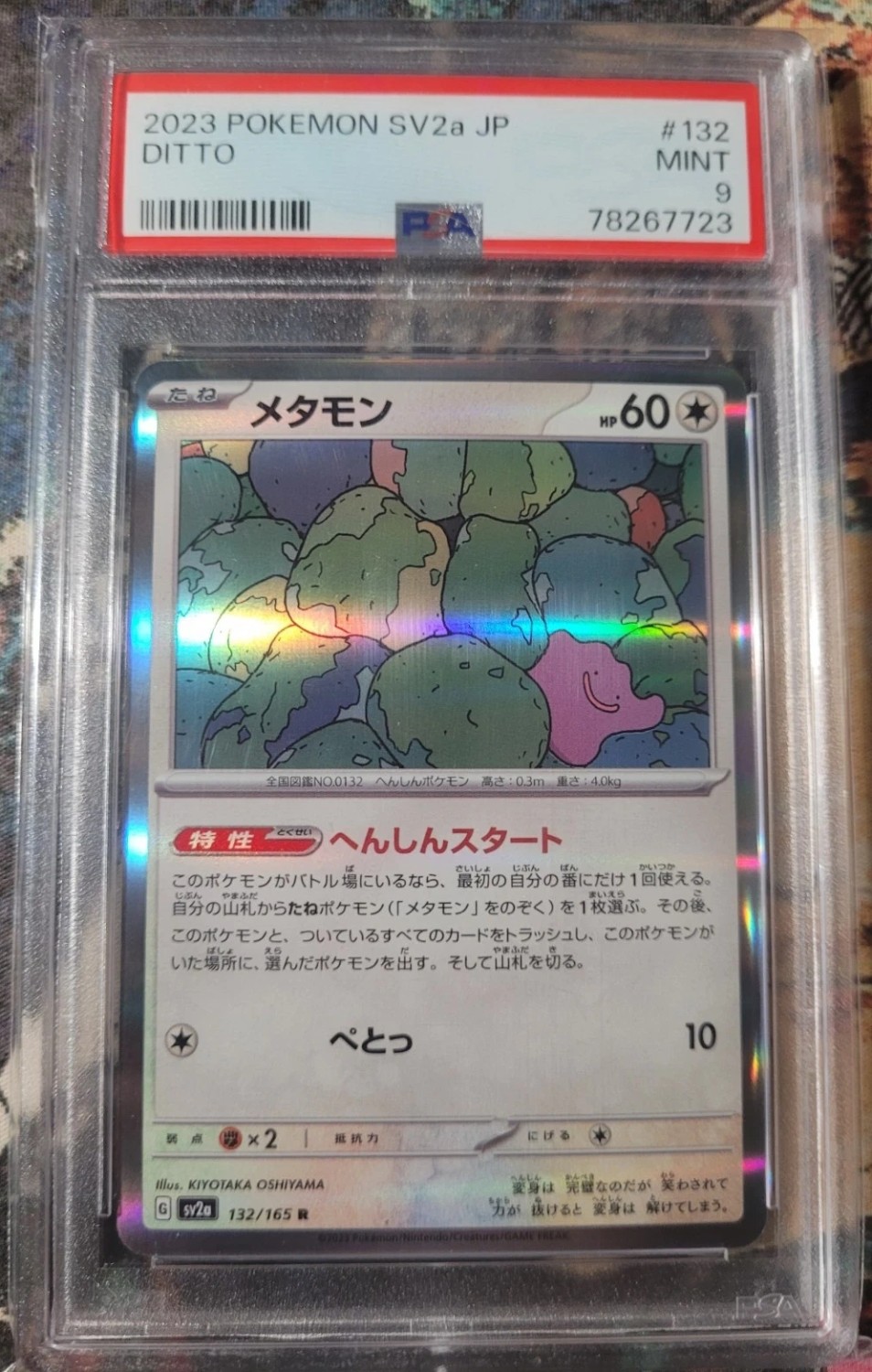 Holo