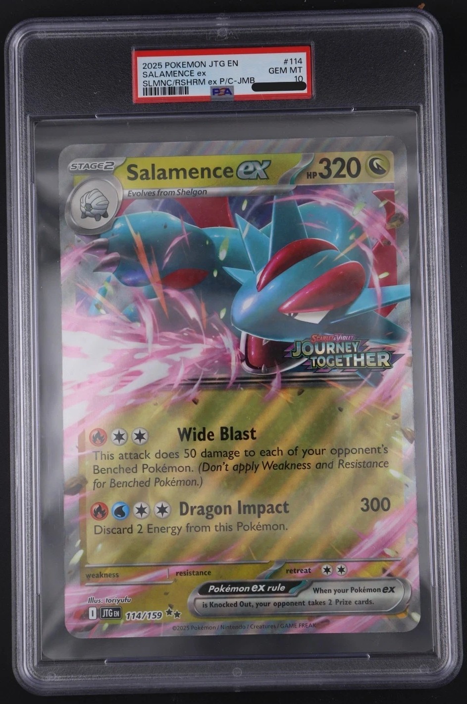 SALAMENCE ex