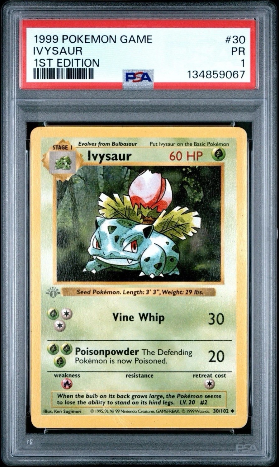 IVYSAUR