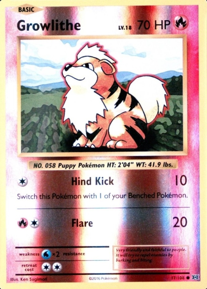Reverse Holo