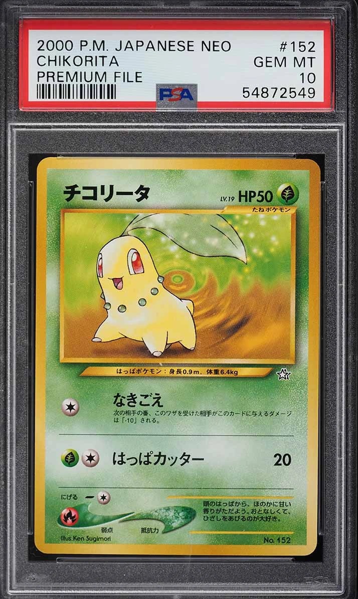 Chikorita