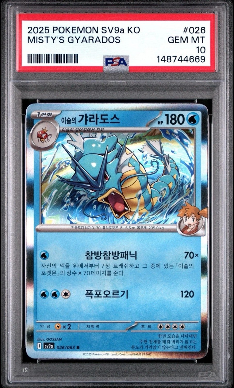Misty's Gyarados
