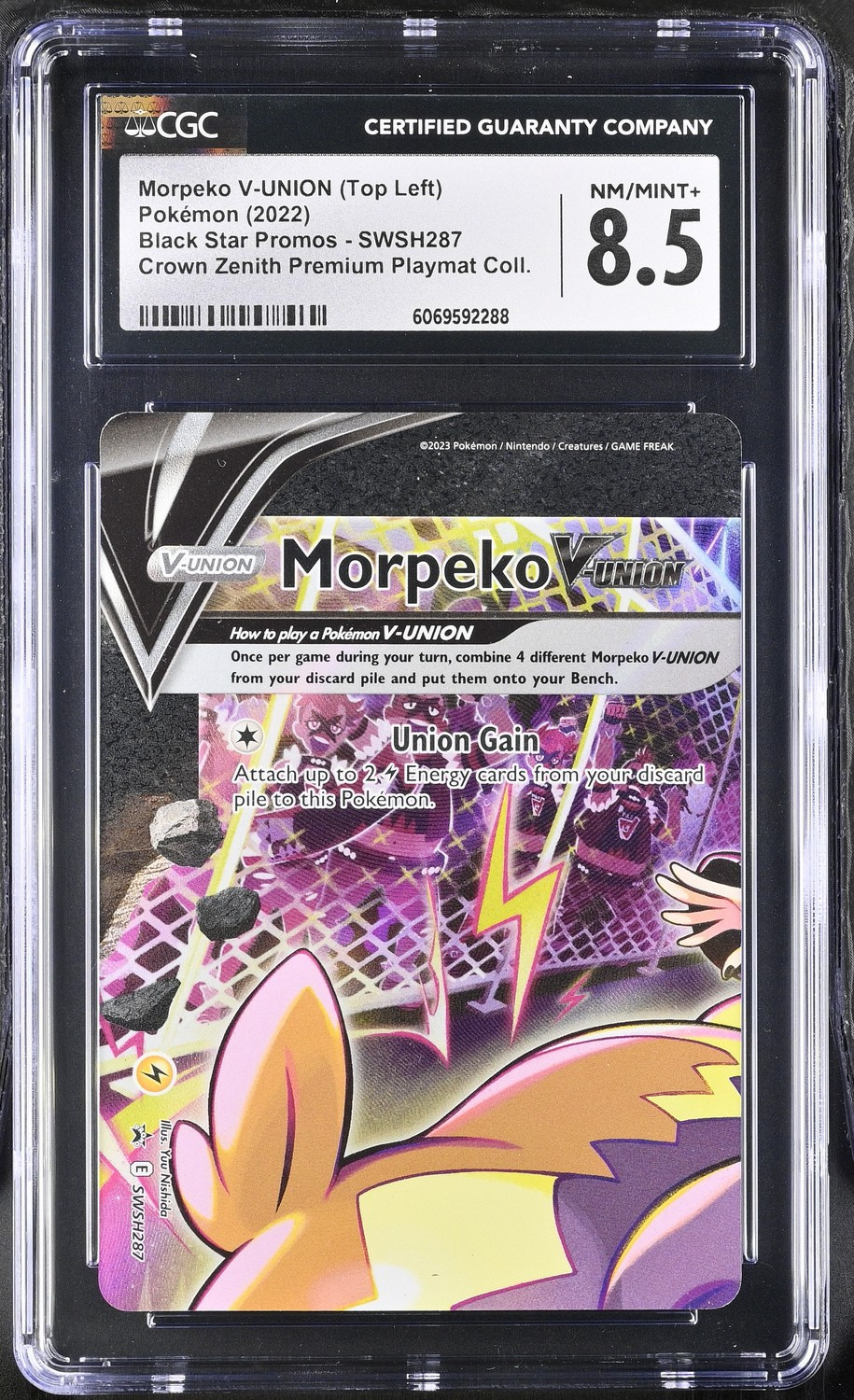Morpeko V-UNION