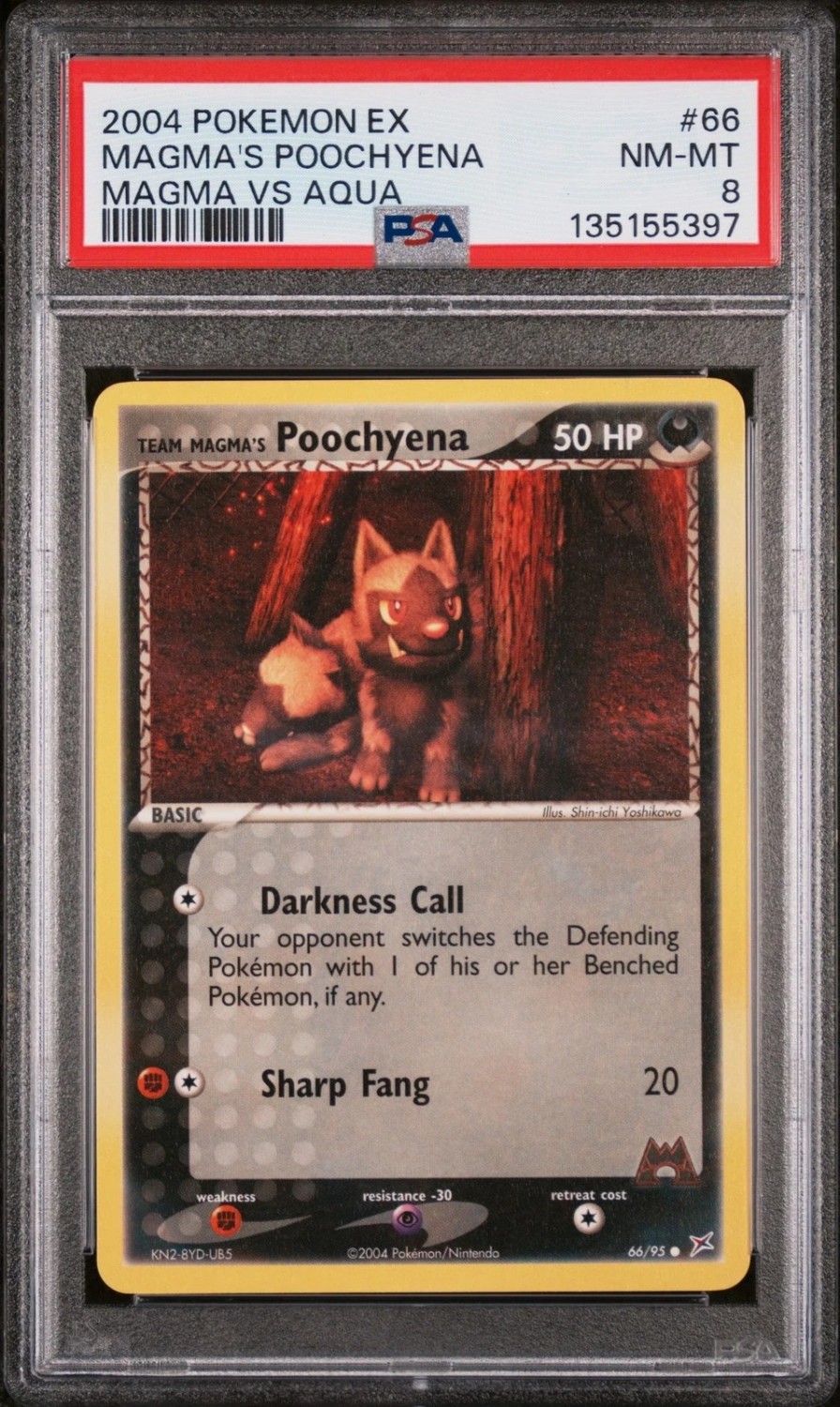 Magma's Poochyena