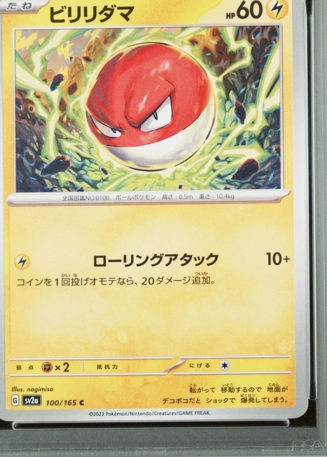 Holo