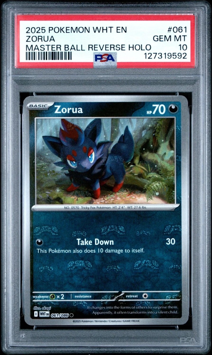 Zorua