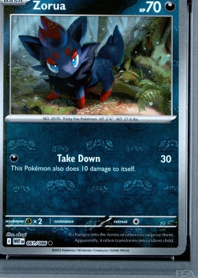 Master Ball · Reverse Holo