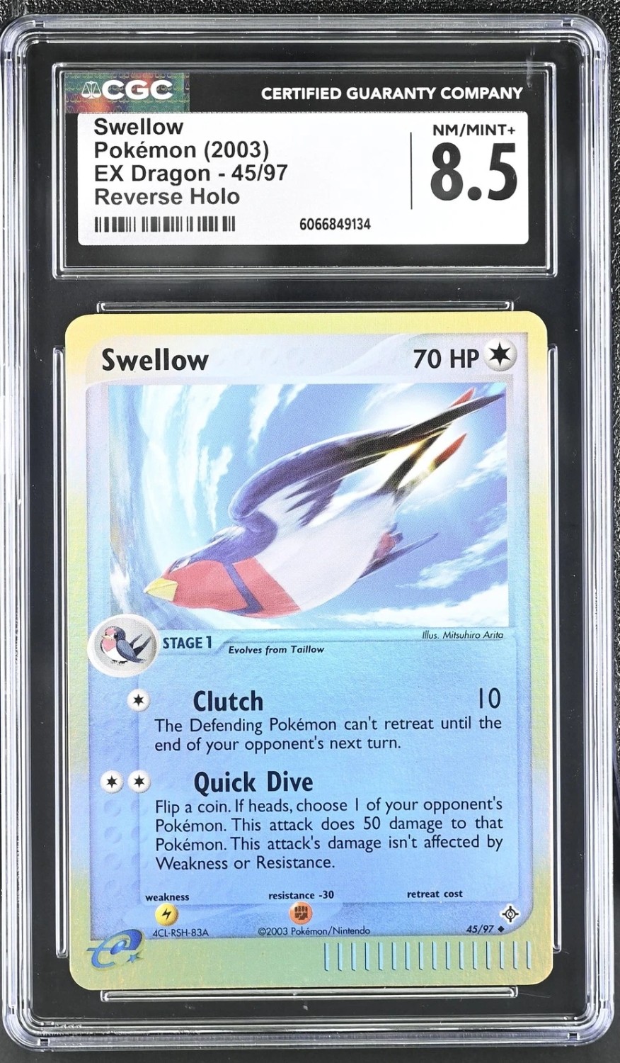 Swellow