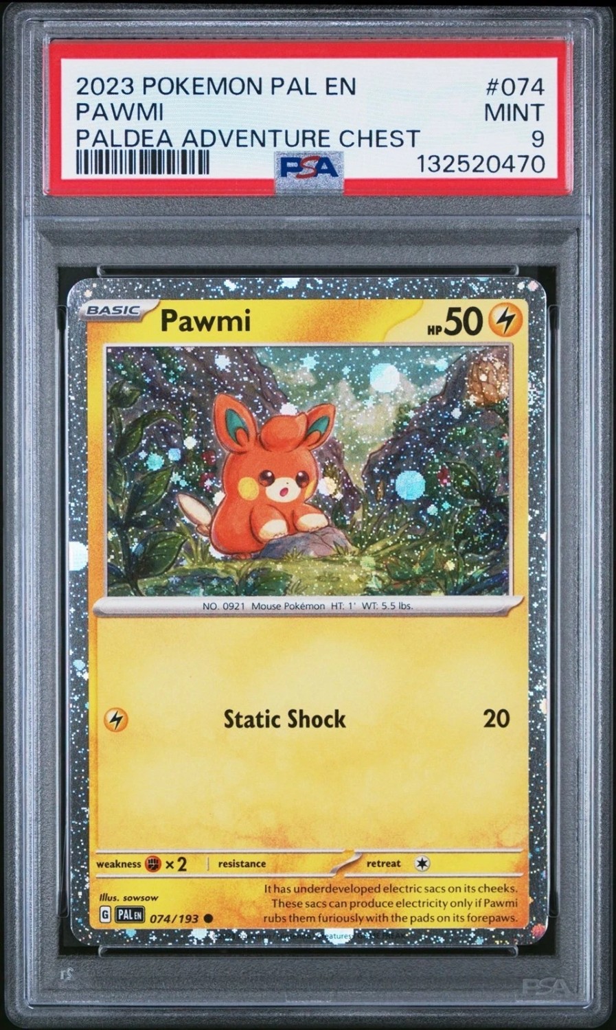 Pawmi