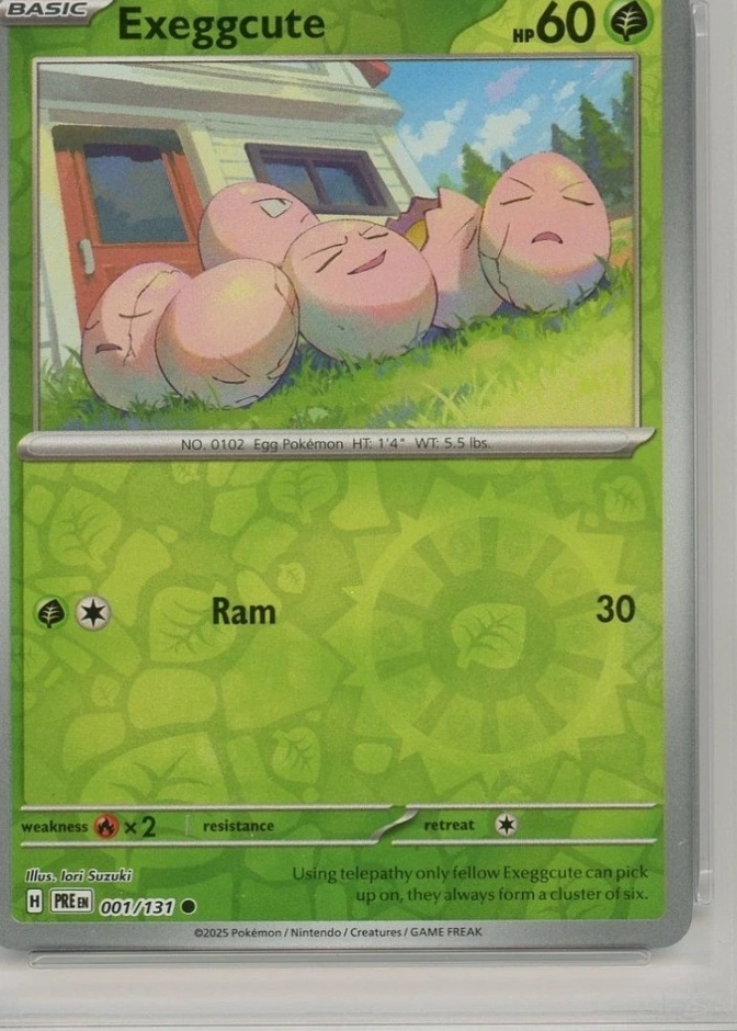Reverse Holo
